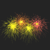Firework Picture